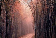 [中超]法比奥头球击中横梁 皮球反弹进入网窝.