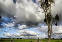 中超：无缘首胜 青岛海牛队0-1深圳新鹏程队.