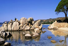 丹麦羽球公开赛：安东森和渡边航贵会师决赛.